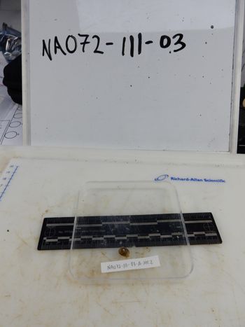 Media type: image;   Invertebrate Zoology 139316